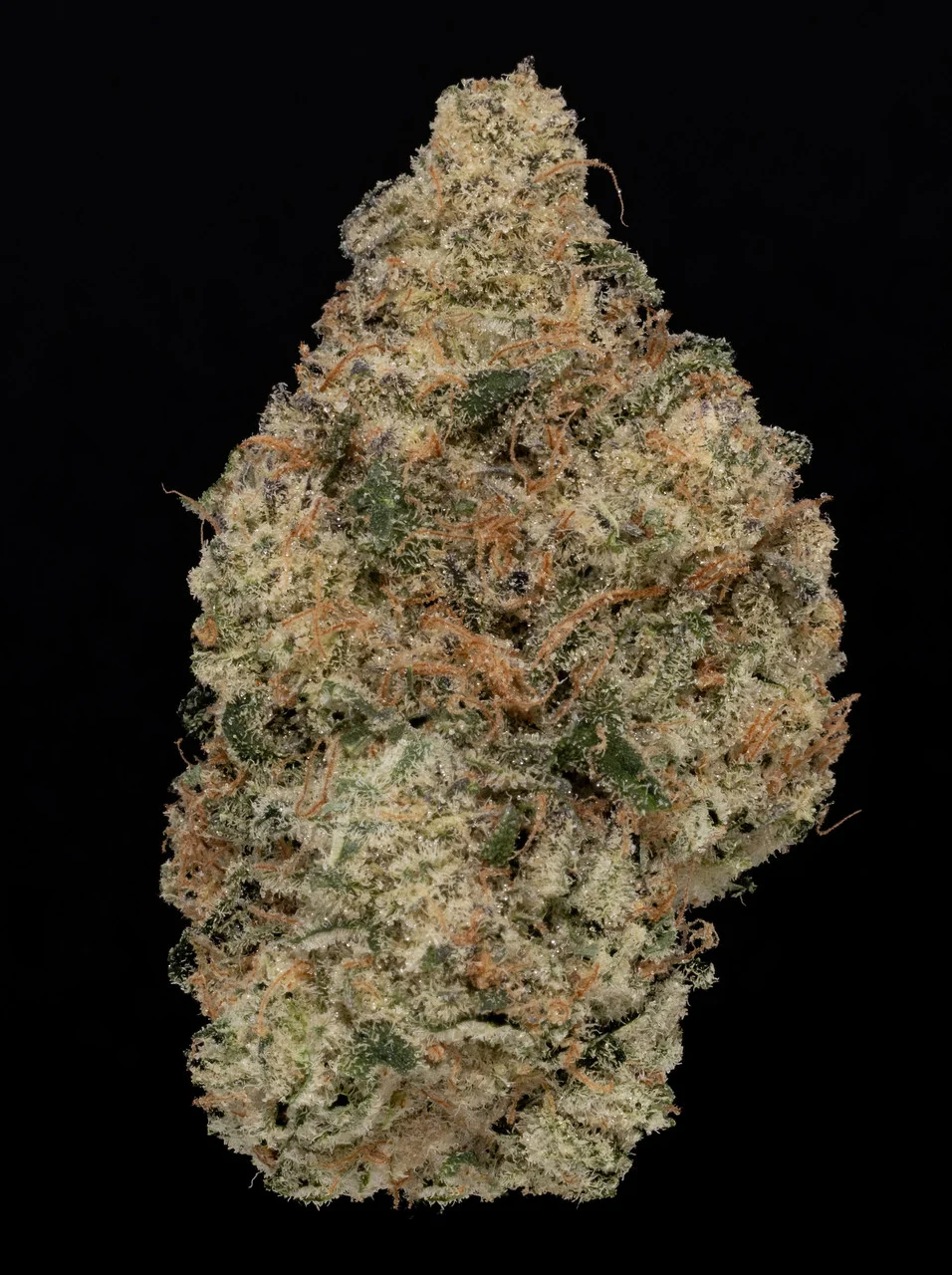 Durban Poison — Best Buds BFF