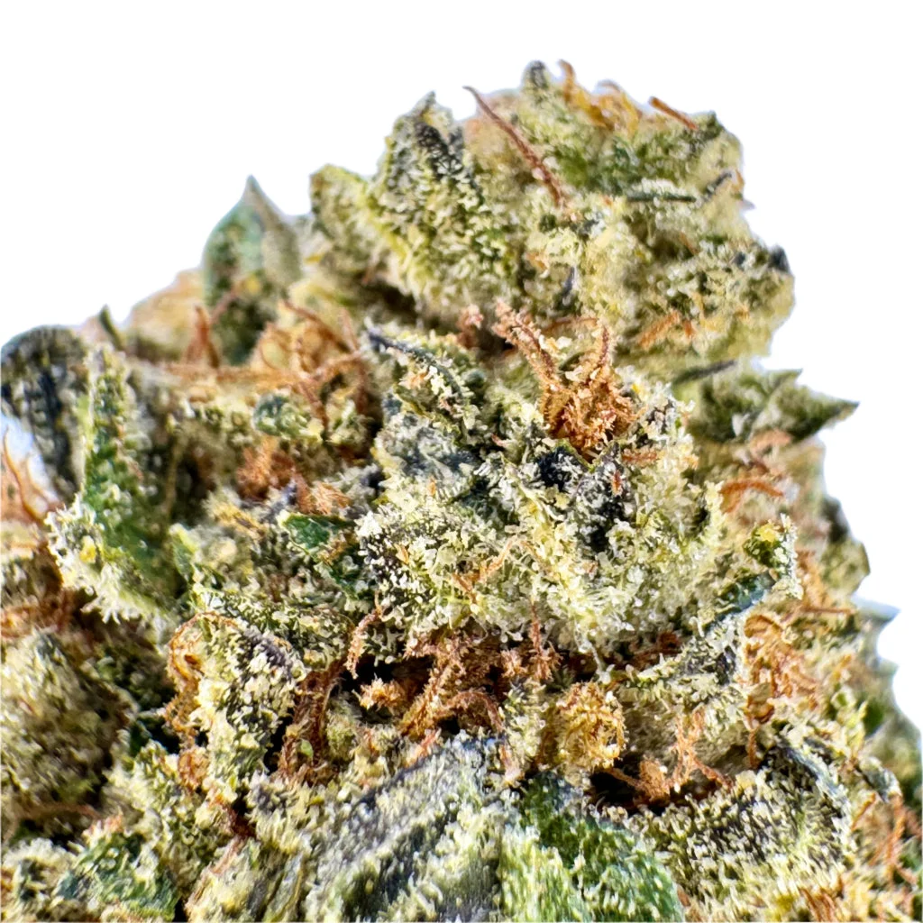 Lemon Cherry Gelato THCA Flower – 32.3% Hybrid | Exotic Shelf Collection – 1 oz