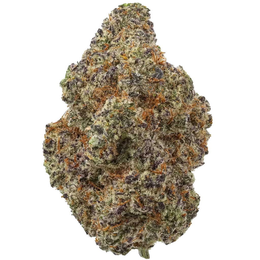 Pink Lemonade flower