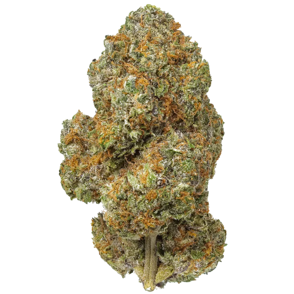 Lemon Cherry Gelato – 1 oz