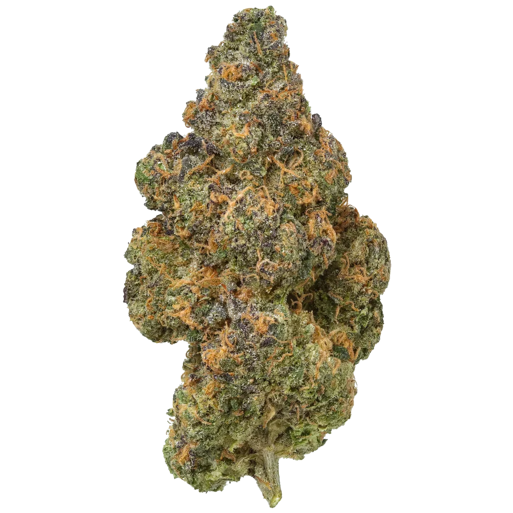 Black Maple – 1 oz