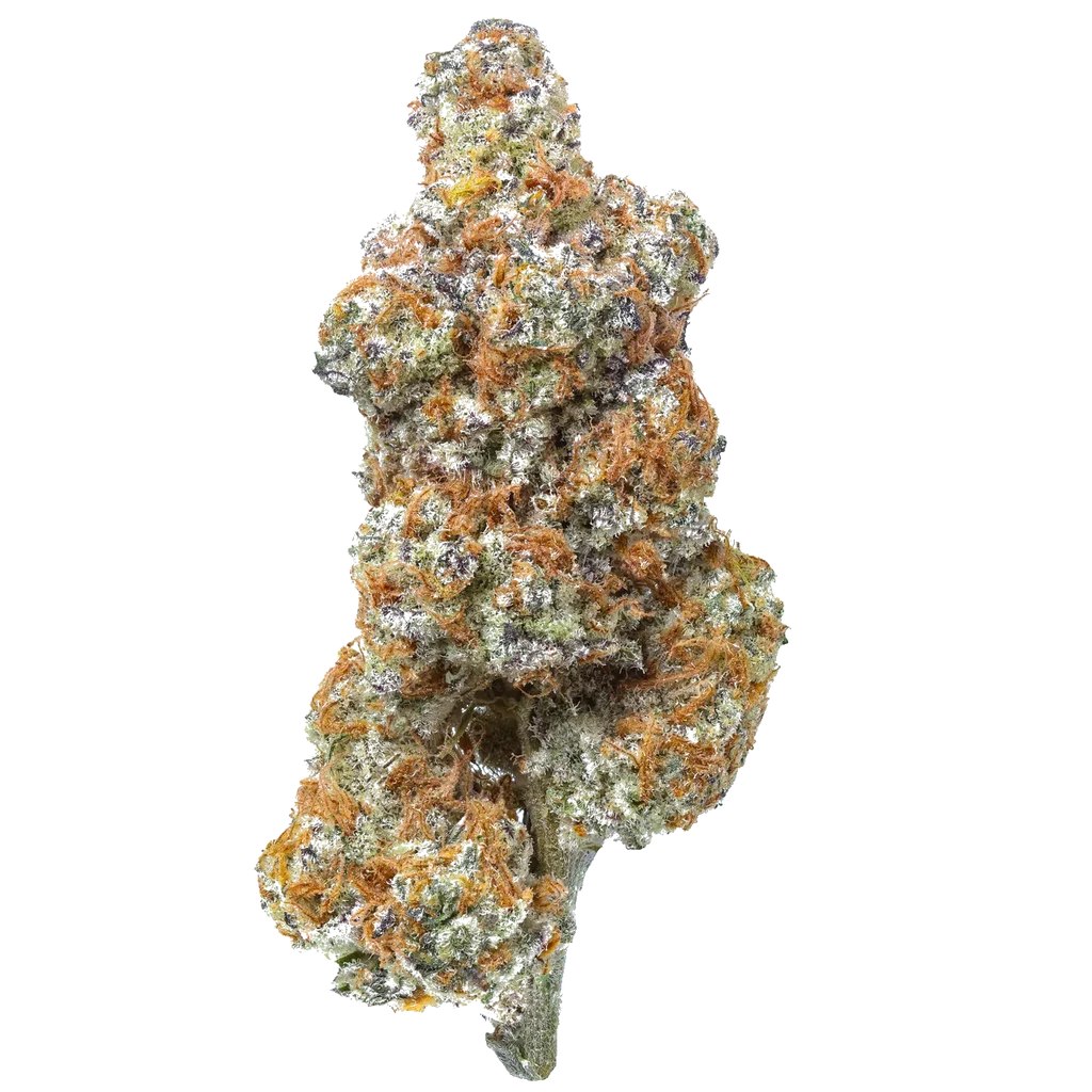 Pineapple flower