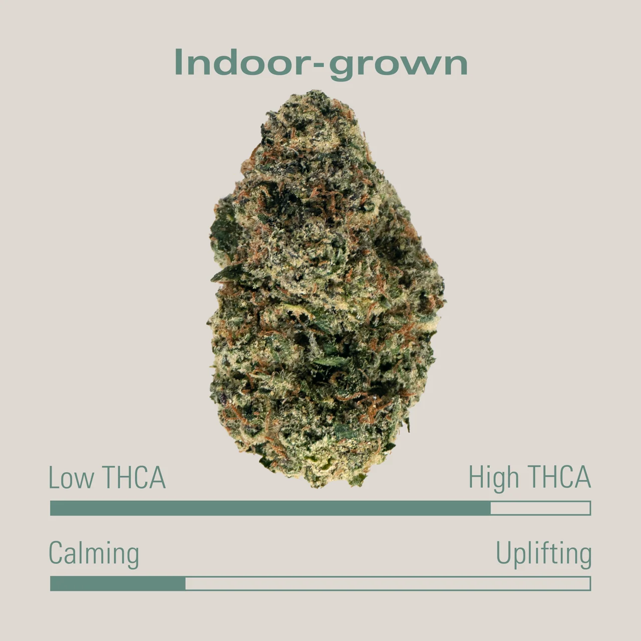THCA Flower - Gelato 33