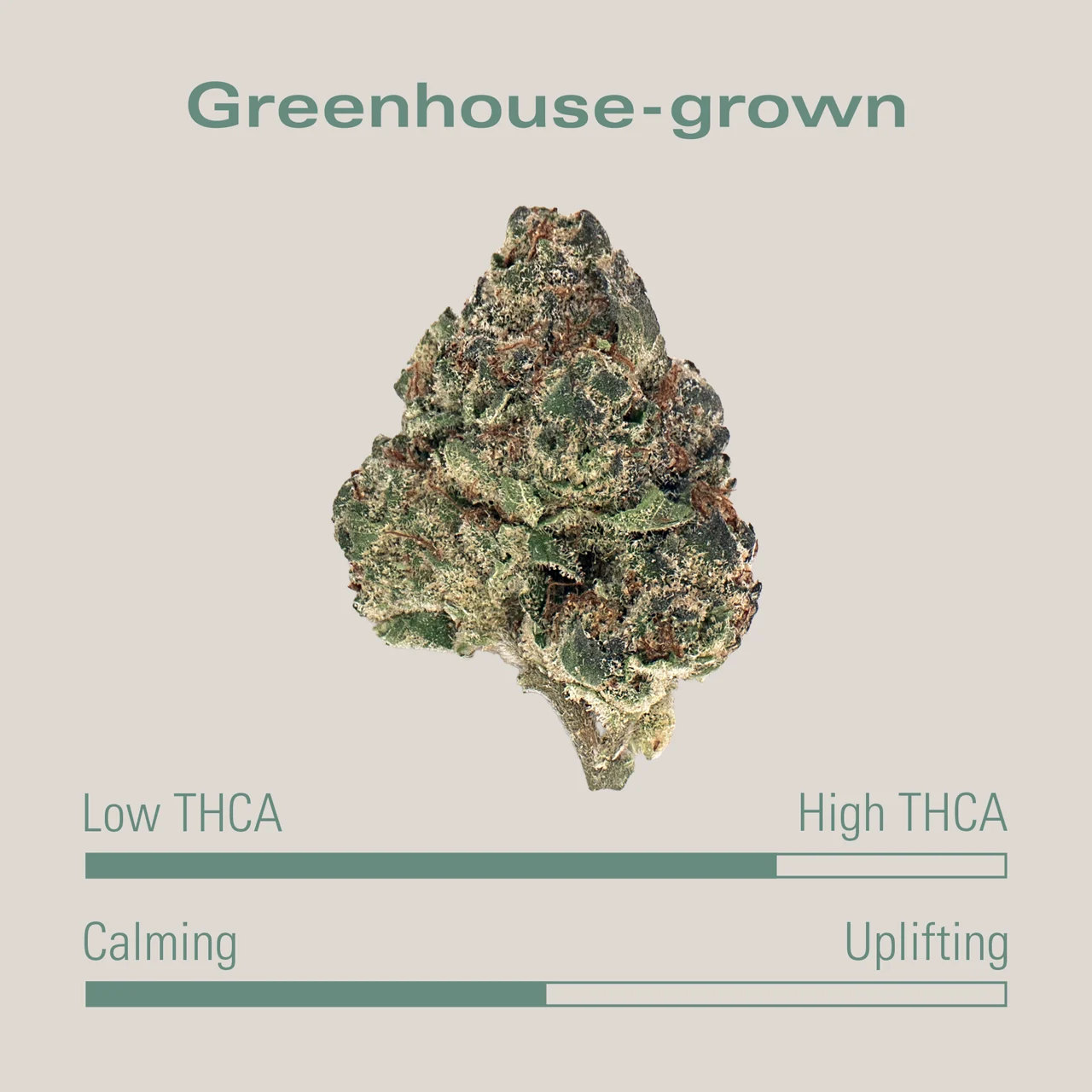 THCA Flower - Strawberry Haze