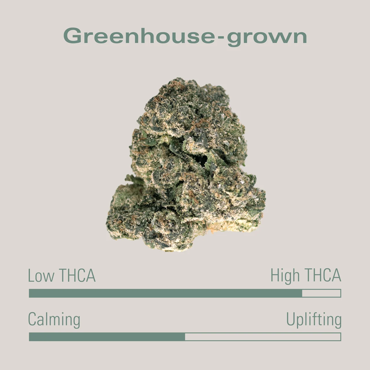 THCA Flower - White Gumbo