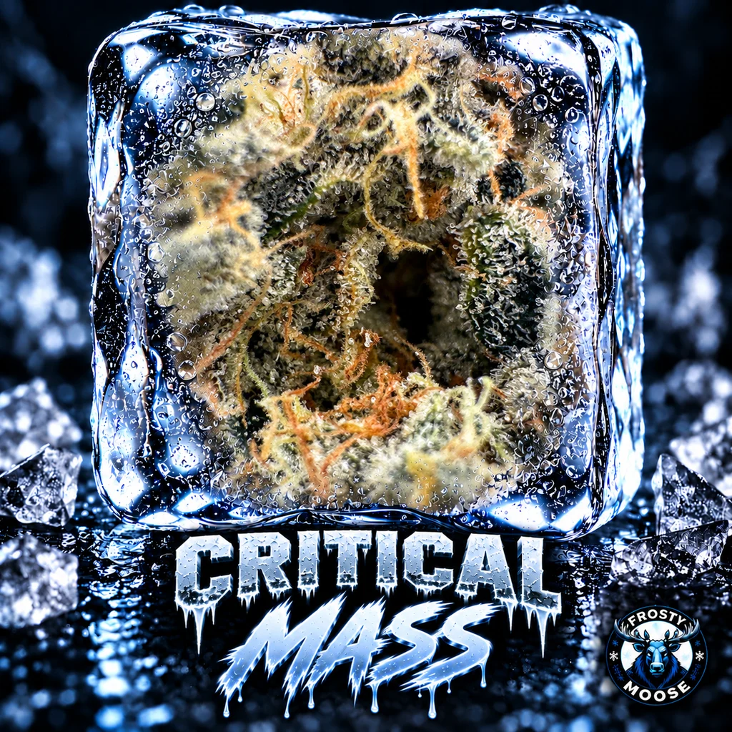 Critical Mass – 7g