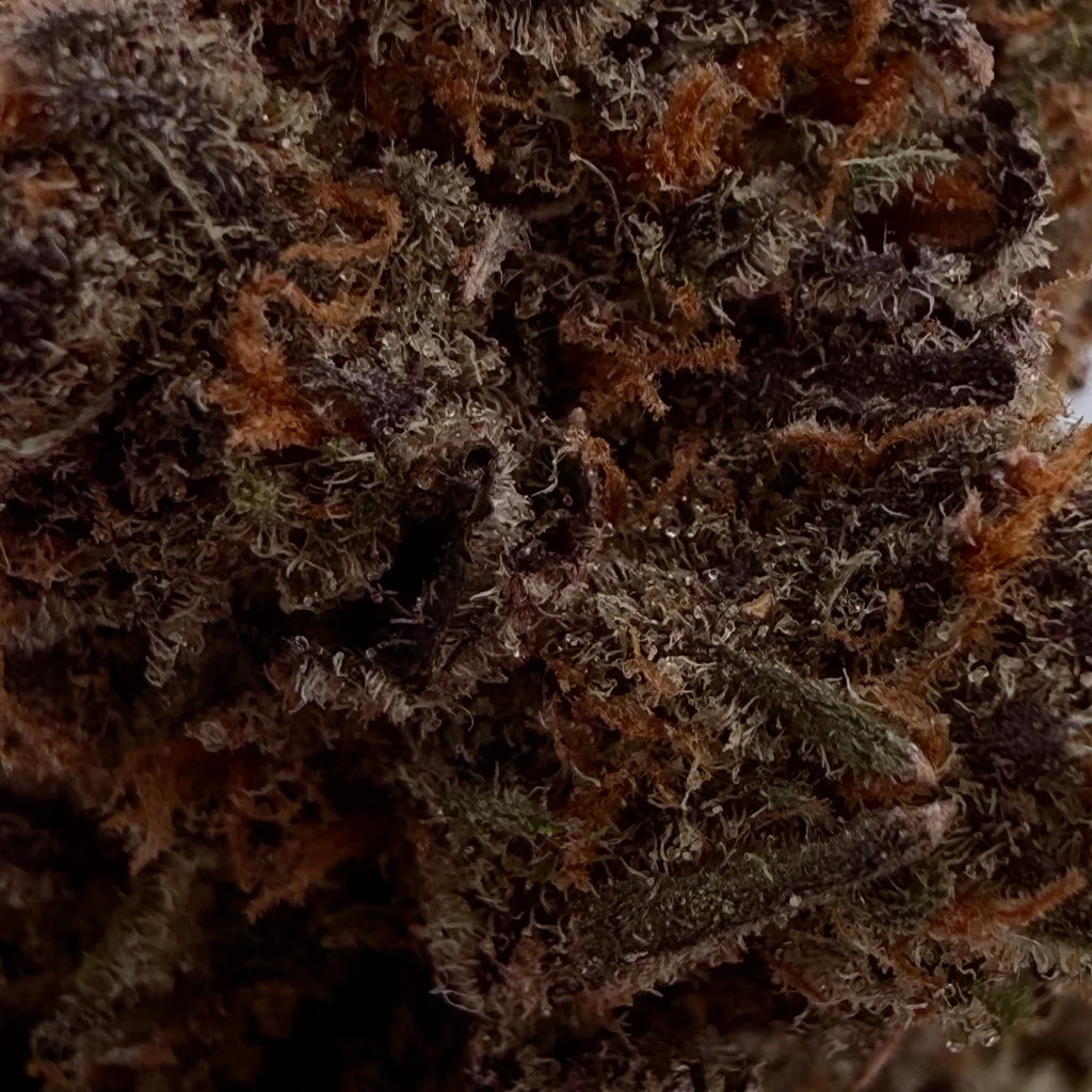 Grapefruitz – 28g