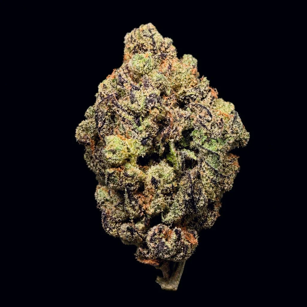 Zourz flower