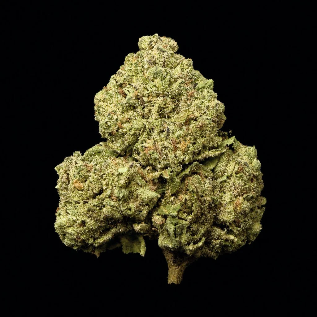Potty Mouth THCA Flower – Essential – 28g