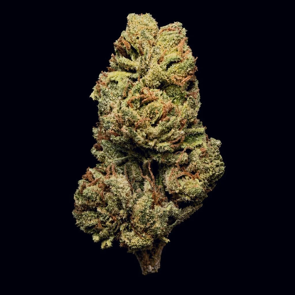 Gush Mintz — Lit Farms