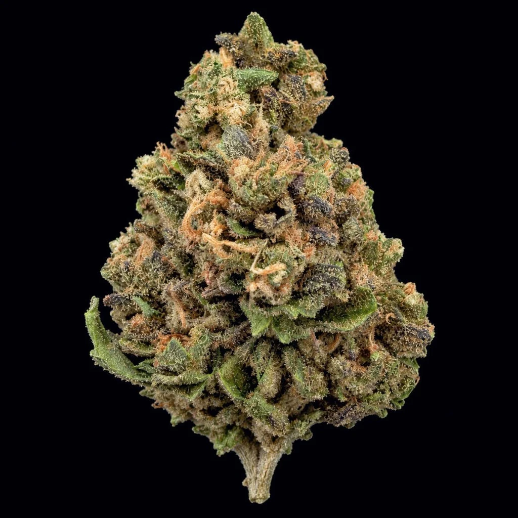 Applescotti flower