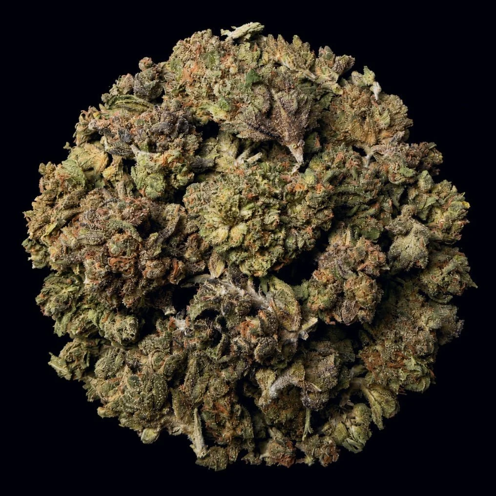 Gush Mintz — Lit Farms