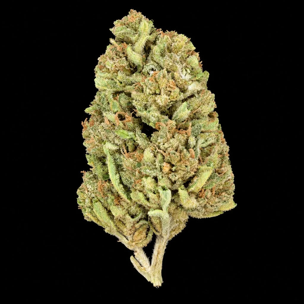 Gushers THCA Flower – Essential – 28g