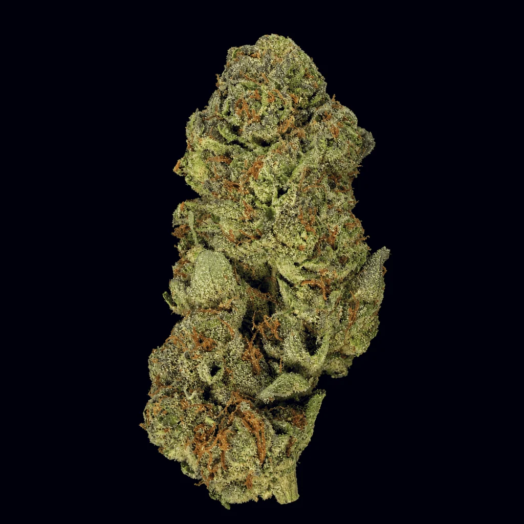 Gush Mintz THCA Flower – Essential – 1 oz