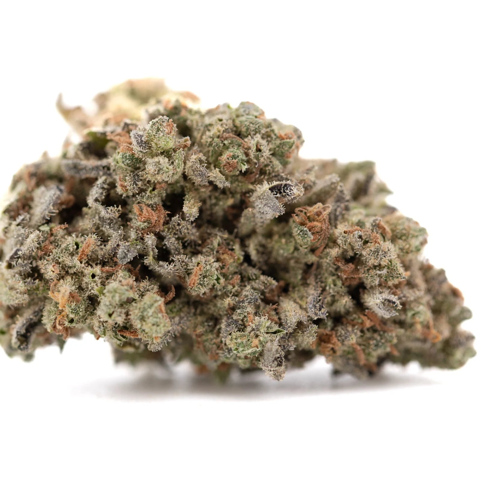 Mega Gummie Bearz THCa Flower Full-Term