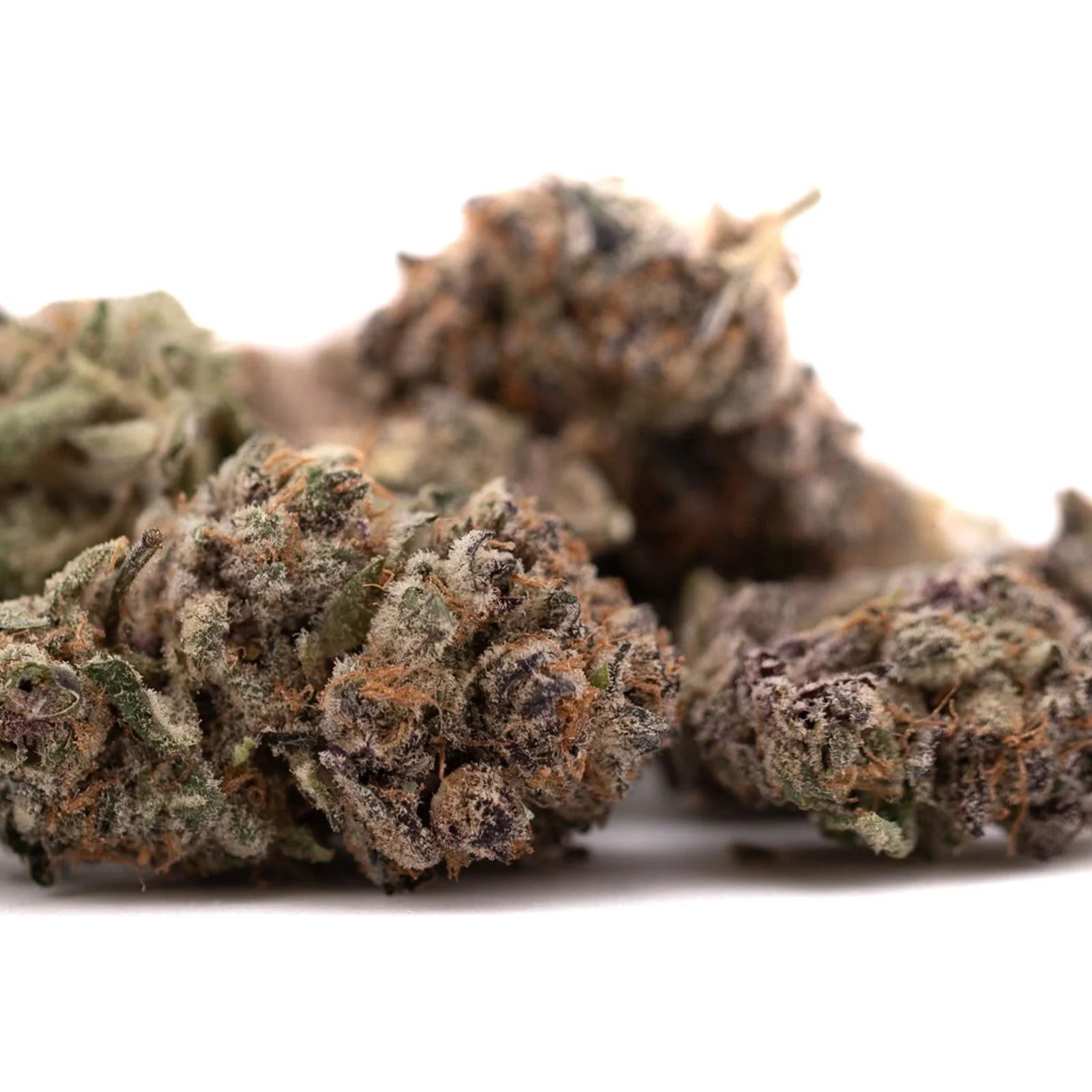Tropical Paradise Indoor THCa Flower