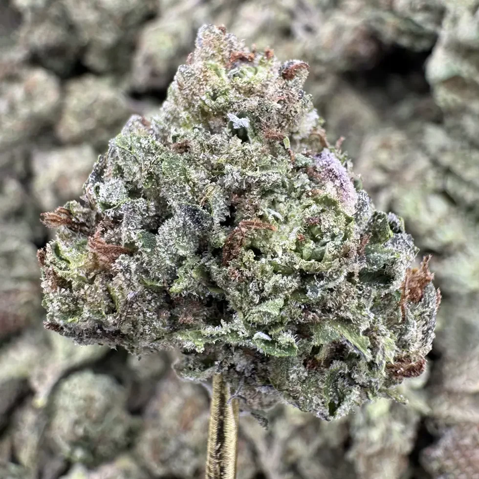 Pink Runtz — Ounce Of Hope