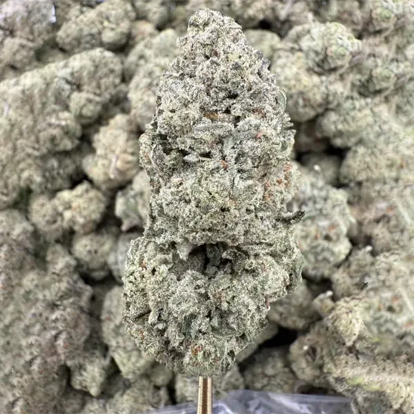 Sour Cherry Gelato Strain, 30.0% THCa Flower – 28g