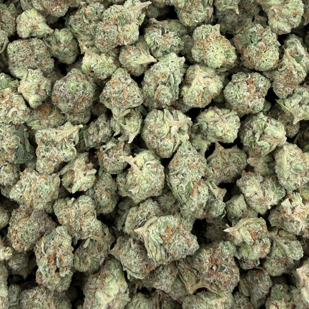 Caviar Gold (Value Indoor Medium Buds) – Bulk THCA Flower 1 lb