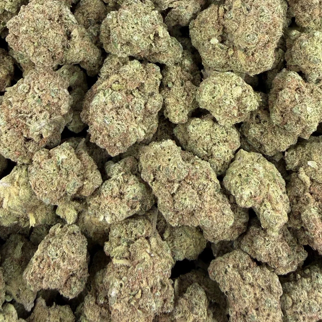 Illemonati — Plain Jane