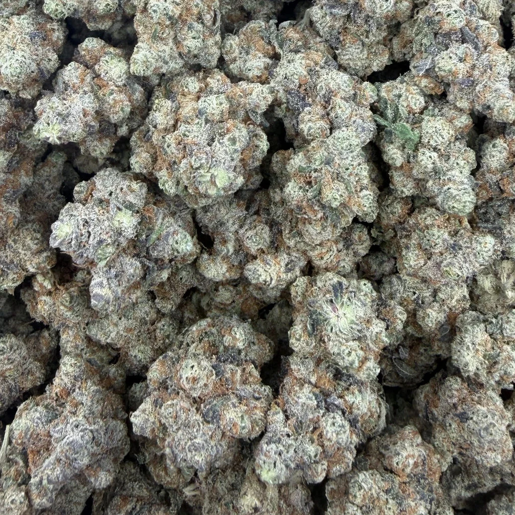 Watermelon — Plain Jane