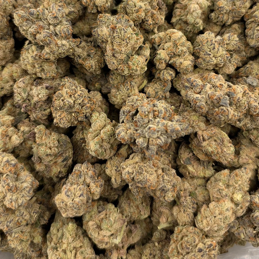 Garlic Breath (Indoor) – Bulk THCA Flower 1 lb