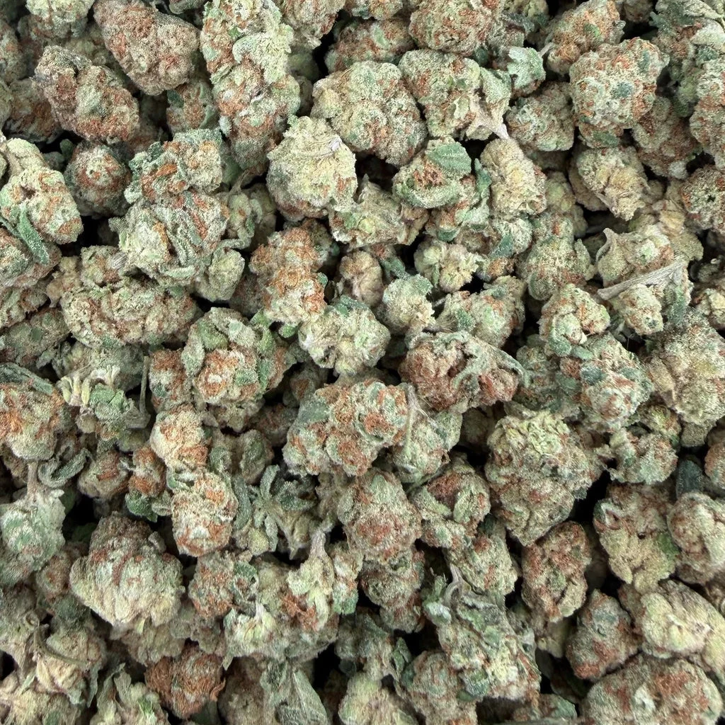 Glitter Bomb (Indoor Smalls) – Bulk THCA Flower 1 lb