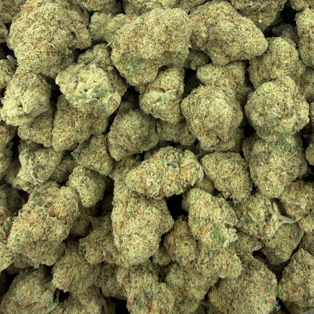 Papaya Punch flower