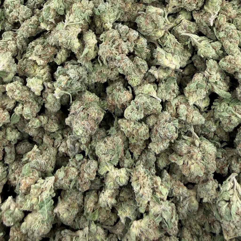 Candy Gas — Plain Jane