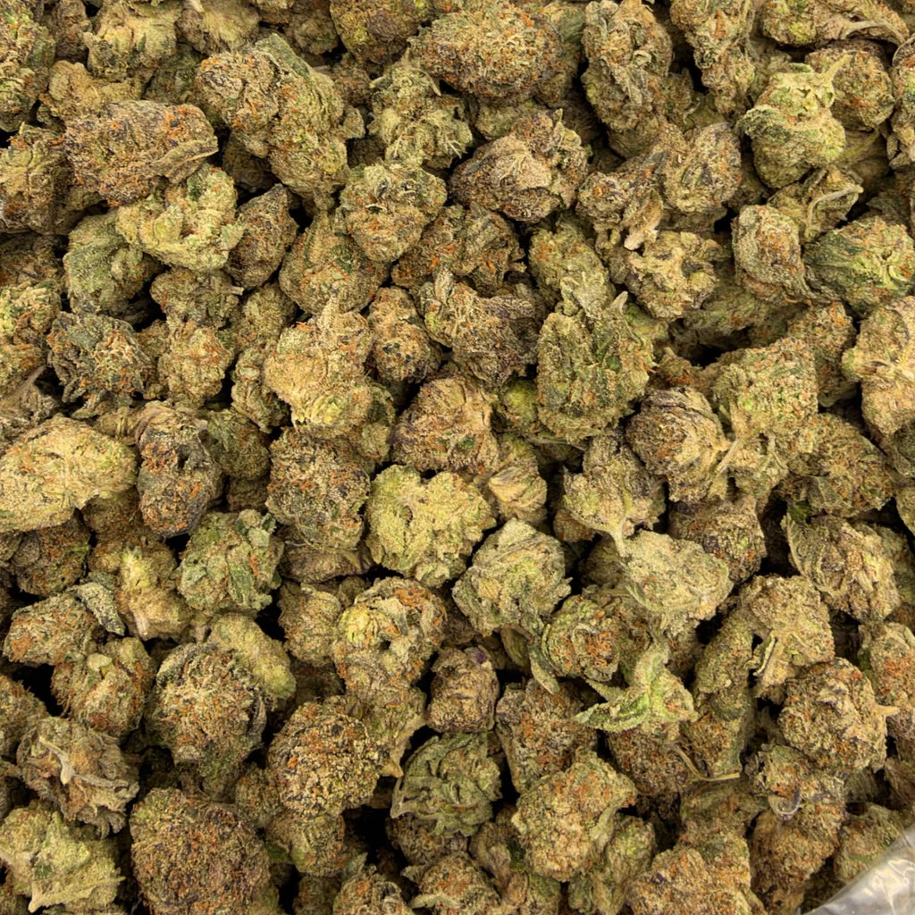Purple Rhino (Value Indoor Medium Buds) – Bulk THCA Flower 1 lb