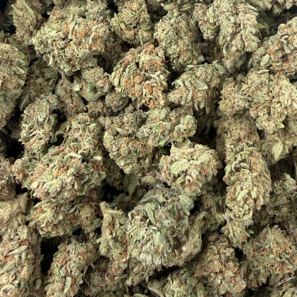 Gelato Ice flower