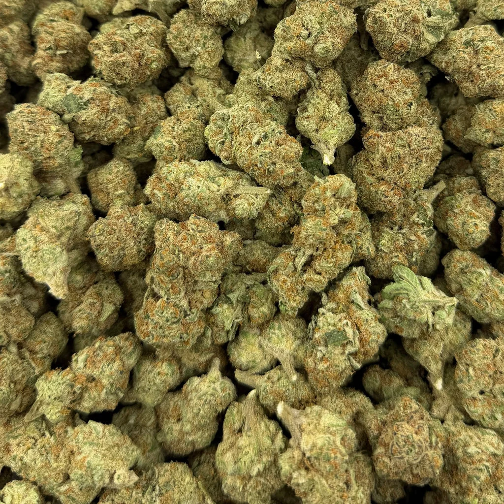 Girl Scout Cookies (Value Indoor) – Bulk THCA Flower 1 lb