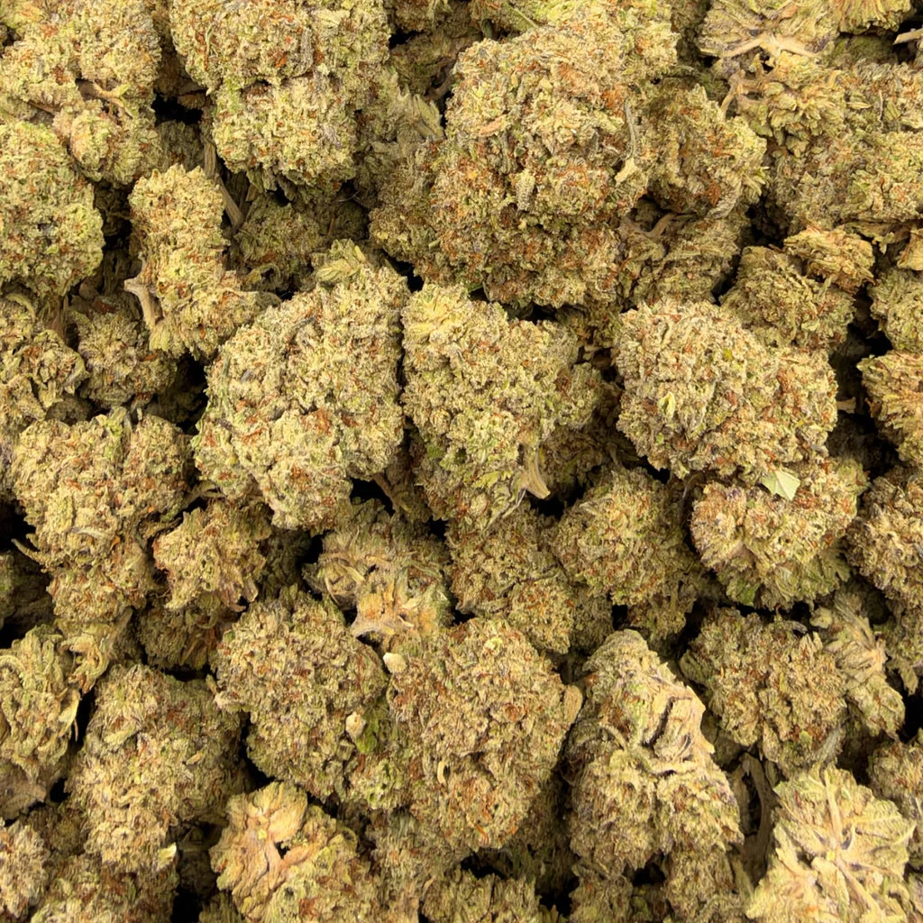 Oreoz flower