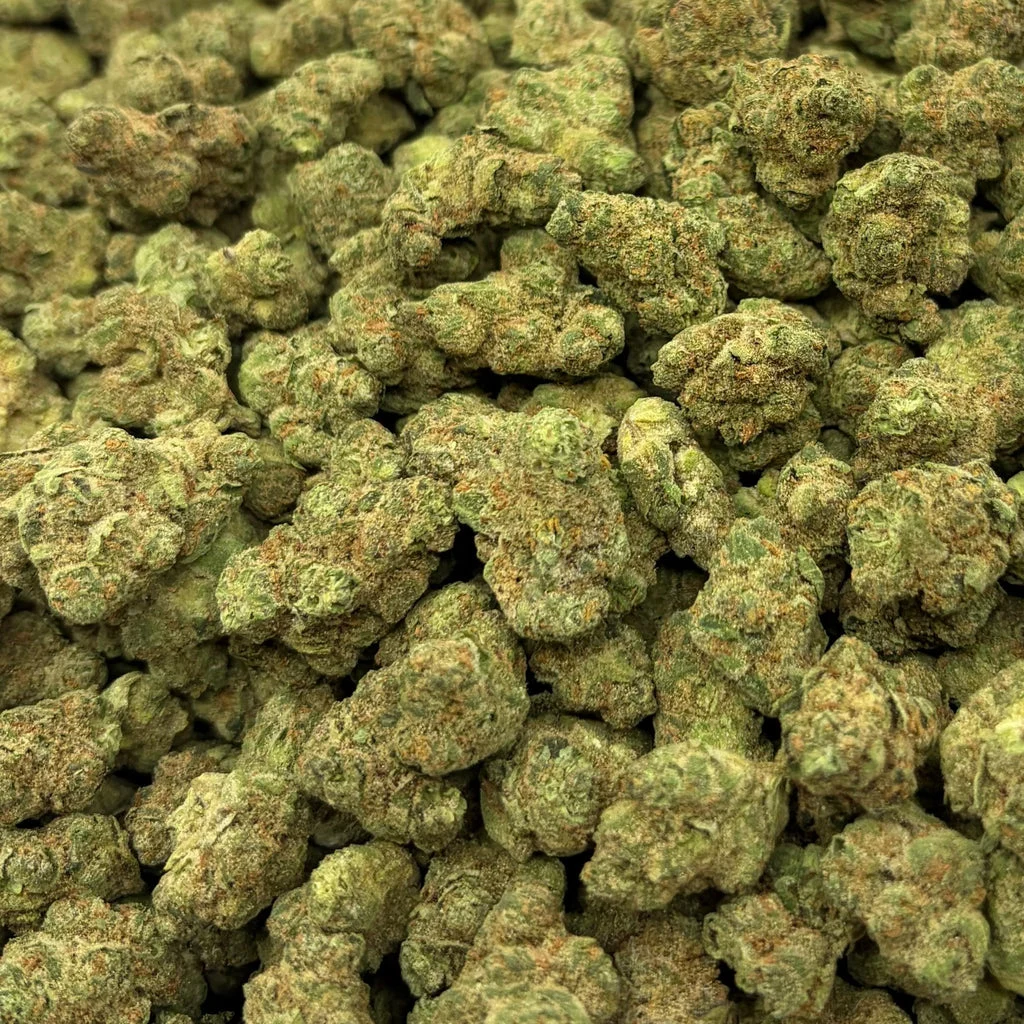 Pineapple Gelato (Value Indoor Medium Buds) – Bulk THCA Flower 1 lb