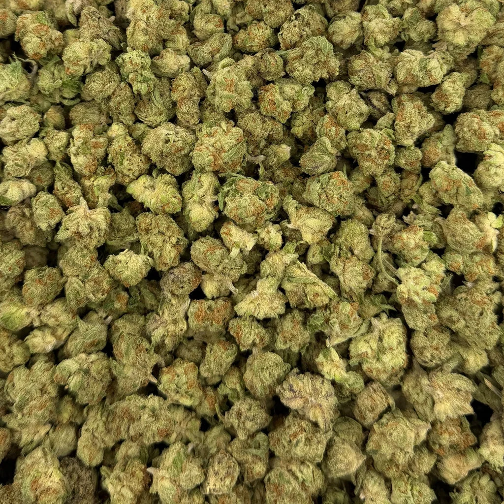 Snow Purple Punch (Indoor Smalls) – Bulk THCA Flower 1 lb
