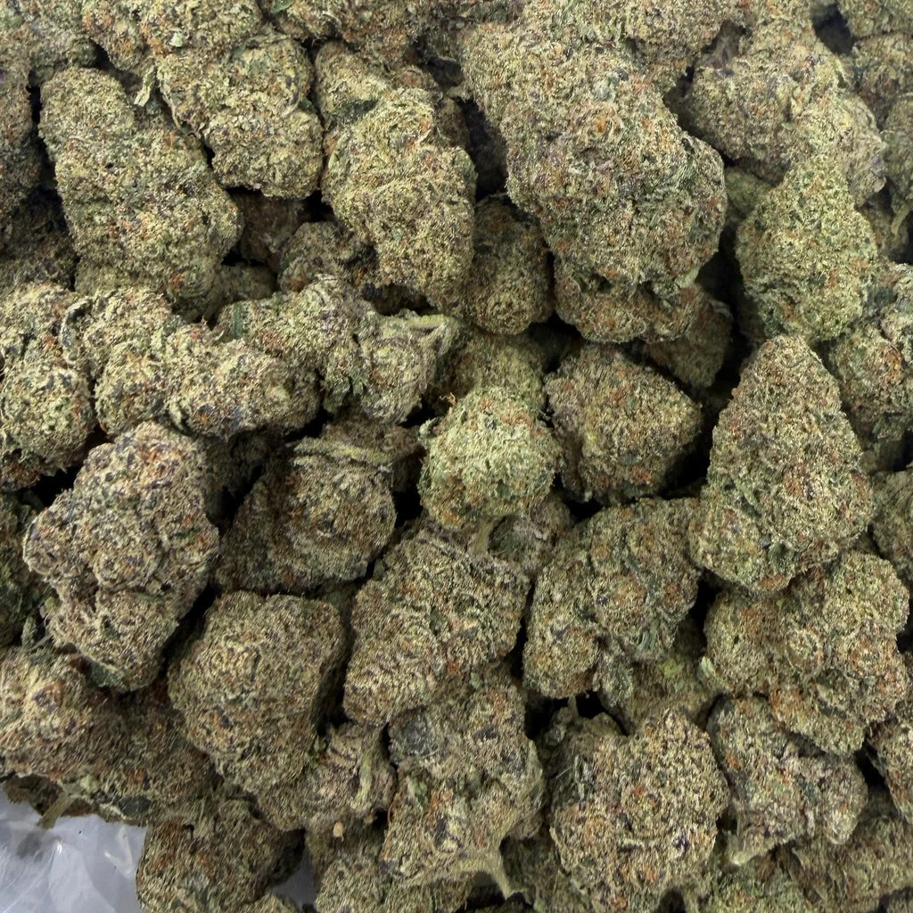 Purple Milk — Plain Jane