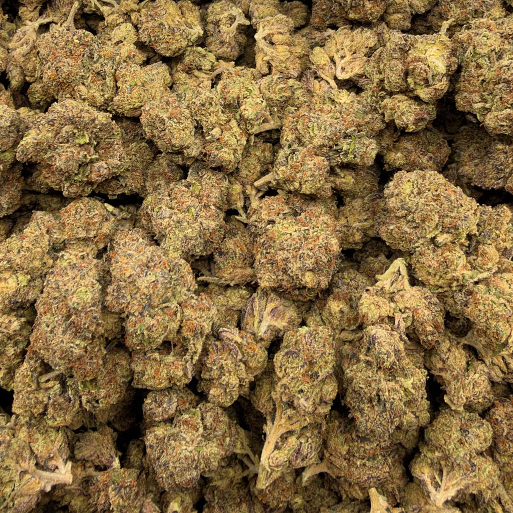 Black Truffle (Light-Assisted) – Bulk THCA Flower 1 lb