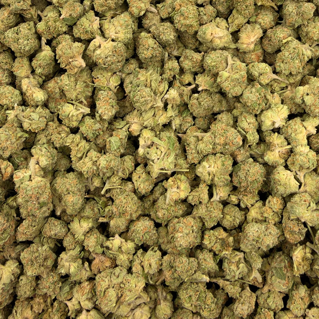 Pineapple Gelato flower