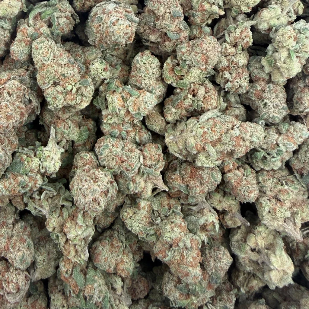 Glitter Bomb — Plain Jane