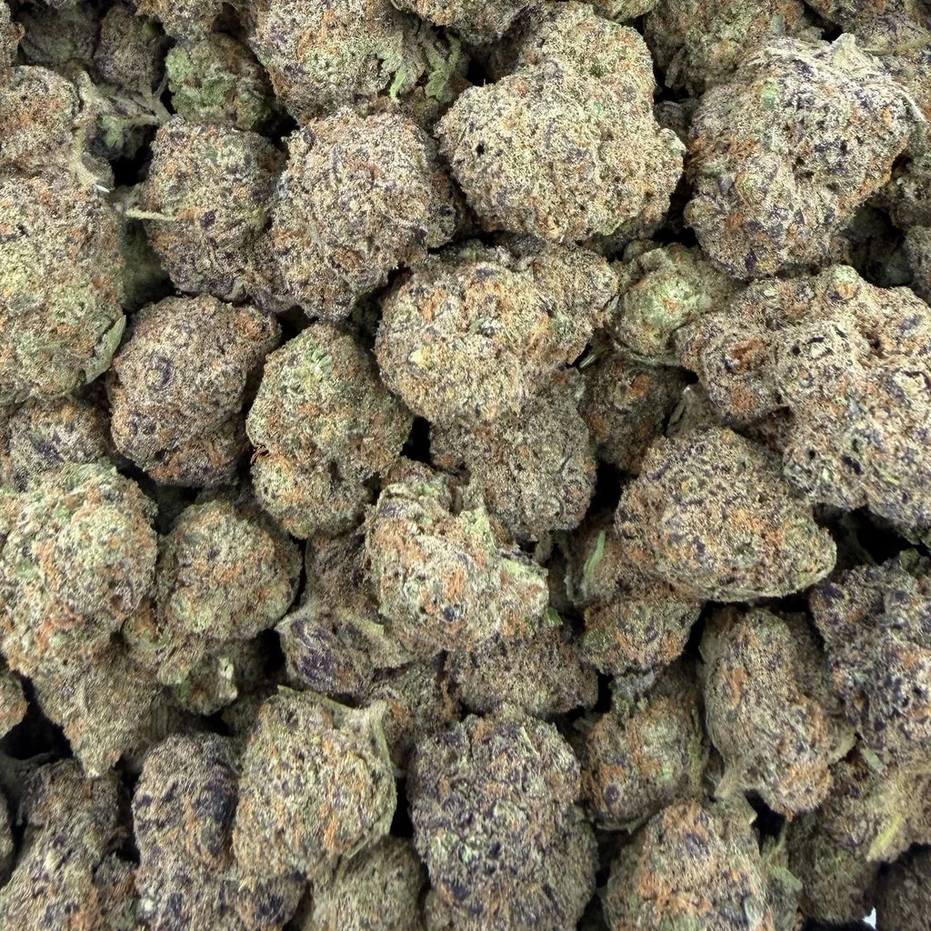 Blueberry — Plain Jane