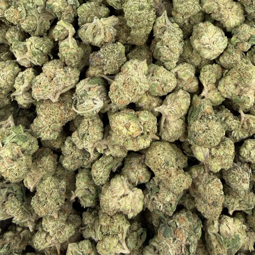 Lemon Bars — Plain Jane