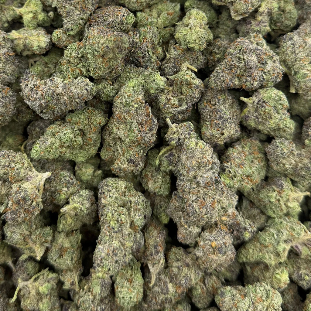 Biscotti — Plain Jane