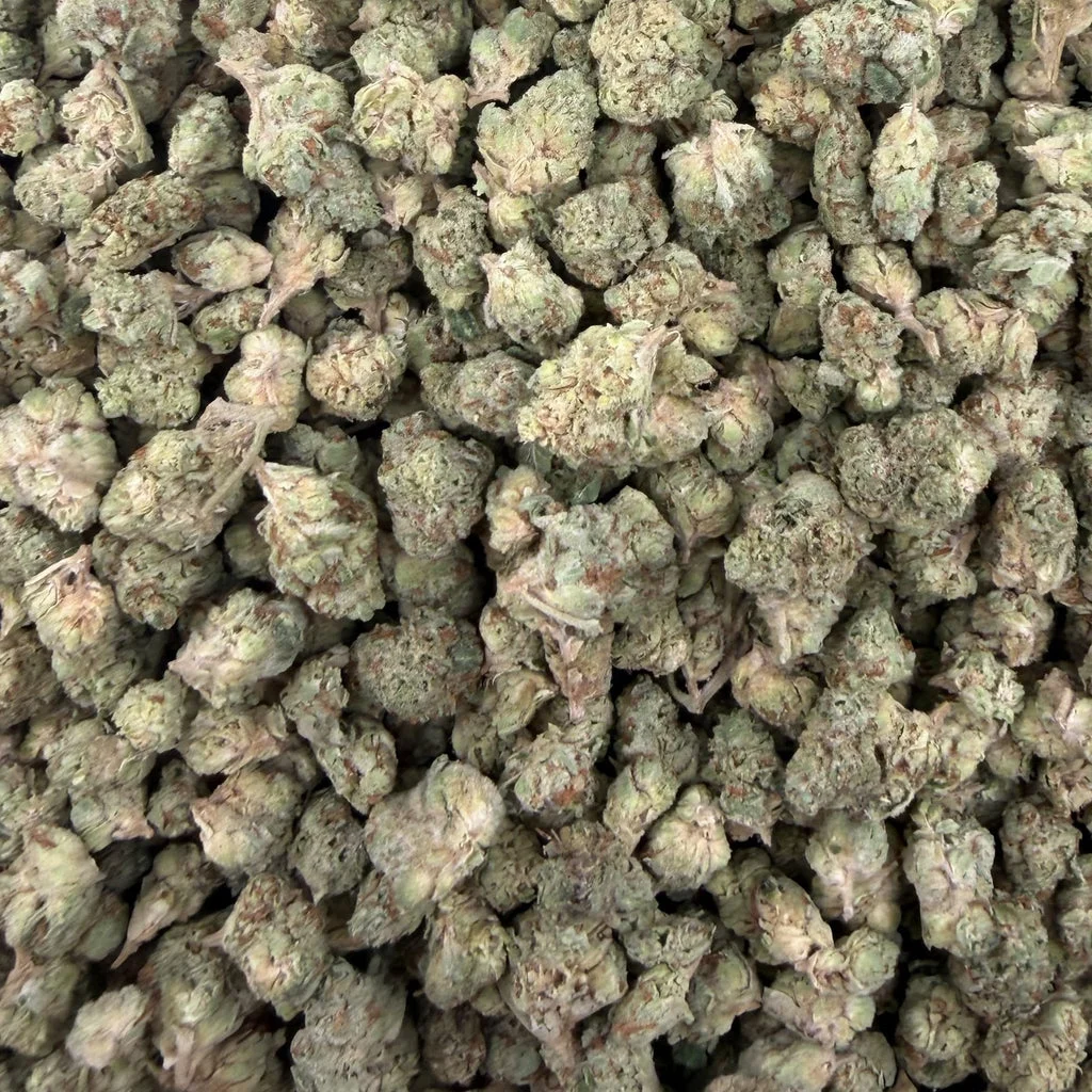 Jet-Fuel — Plain Jane