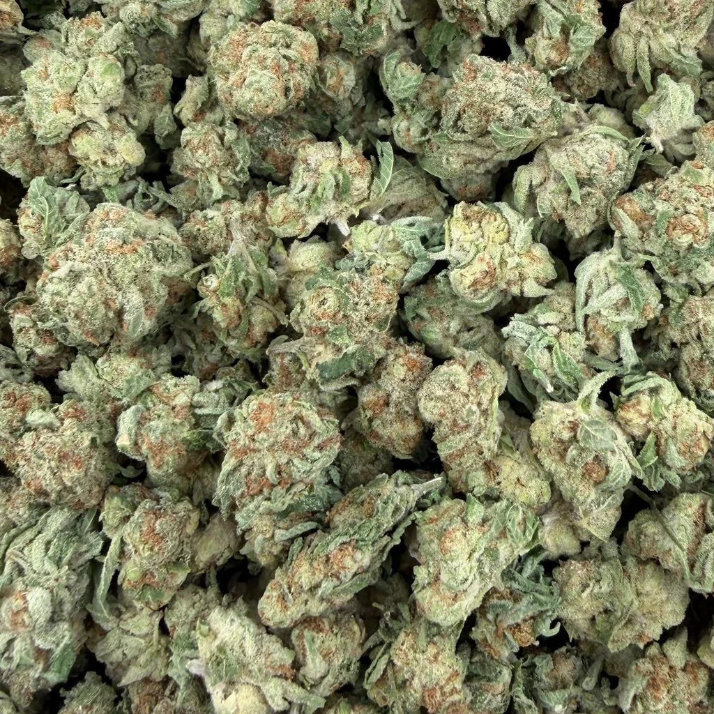 Purple Candy flower