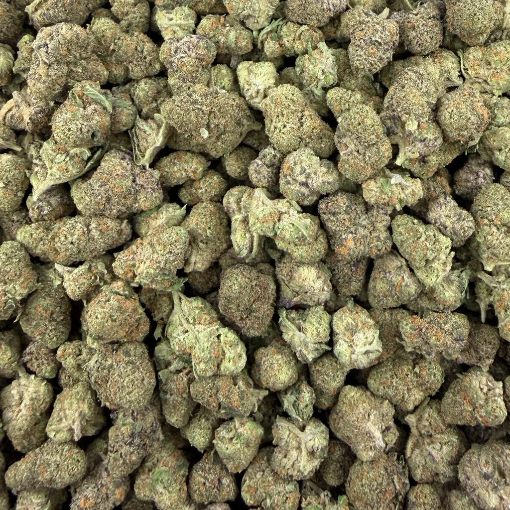 Purple Milk flower