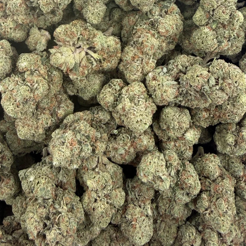 Jet Fuel Gelato (Value Indoor) – Bulk THCA Flower 1 lb