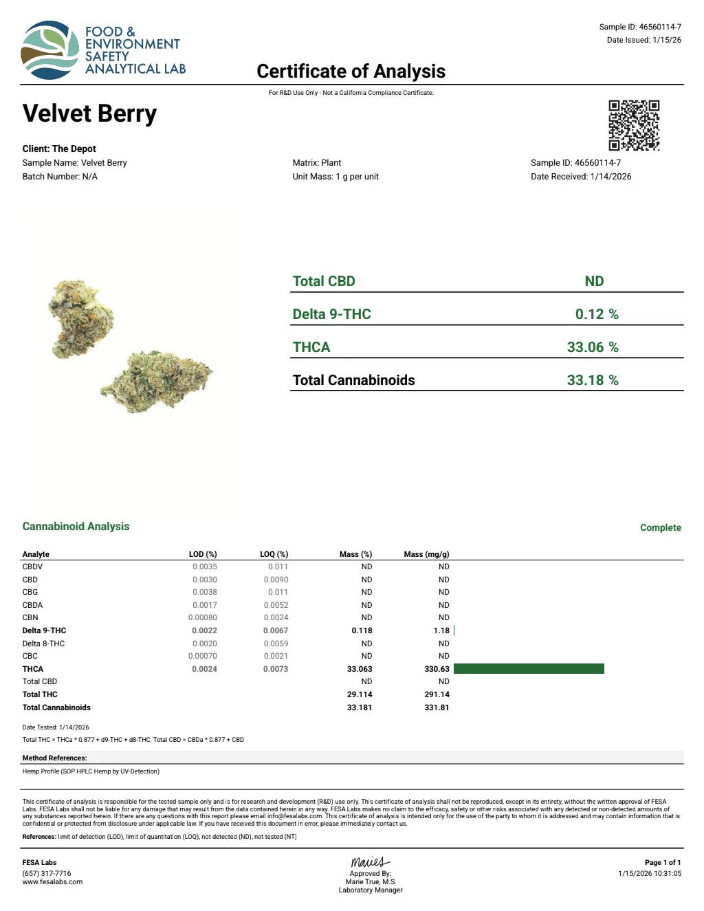 Velvet Berry flower