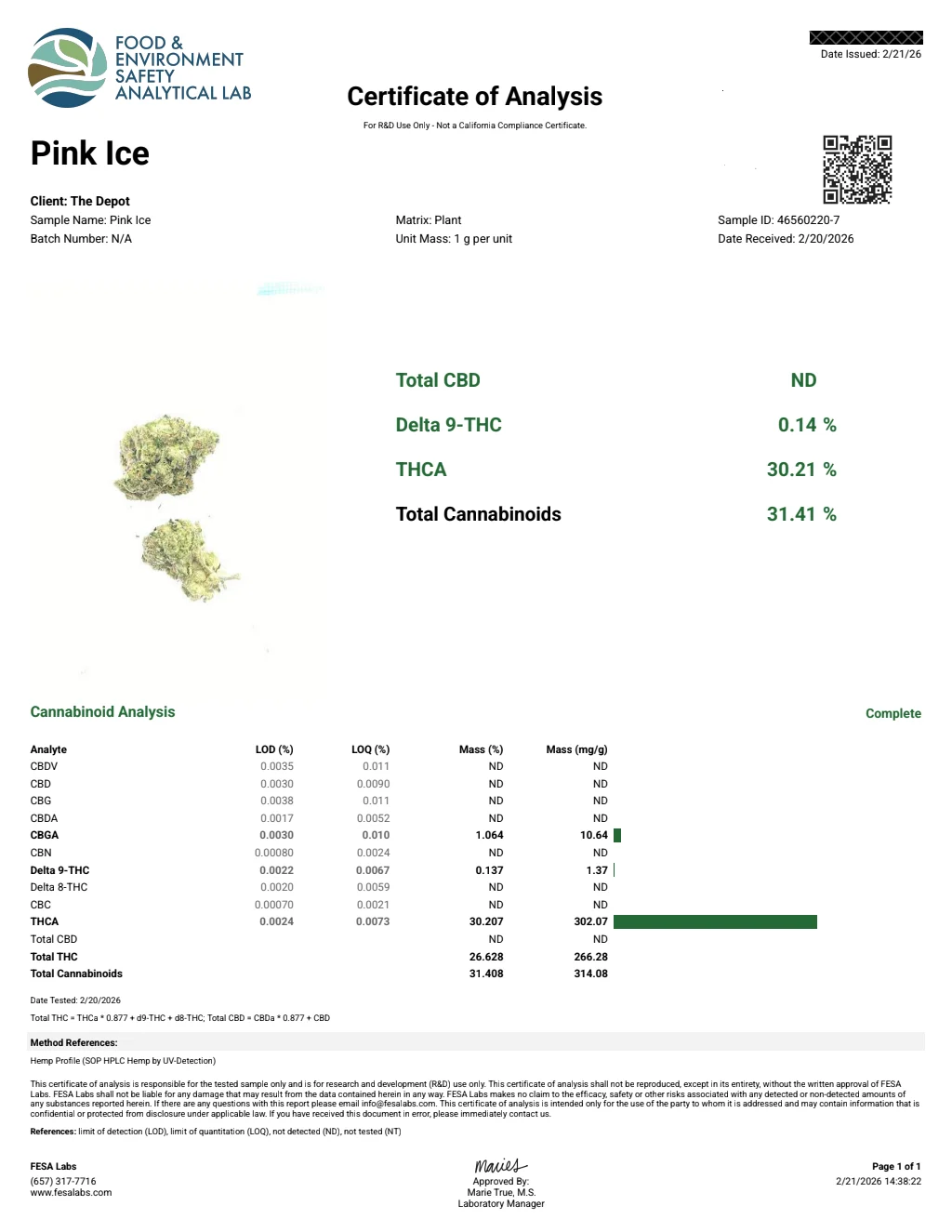 Pink Ice flower