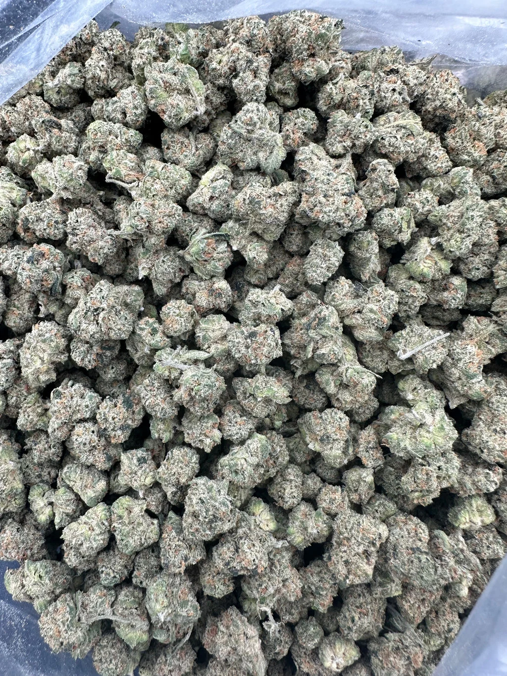 Bruce Banner flower