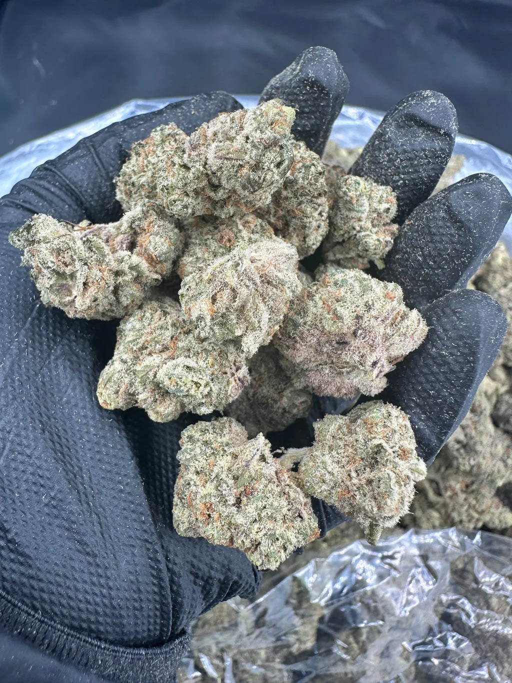 Biscotti THCA Flower (Budget) – Ounce (28g)
